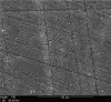 Fig 4. Etch pattern of lithium disilicate etched with 9.5% hydrofluoric acid for 20 seconds.